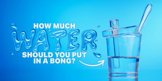 How Much Water Should You Put in a Bong? Water Level Guide