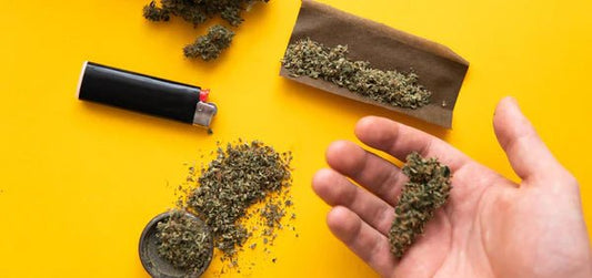 The Ultimate Guide to Selecting the Best Blunt Wraps - HEMPER