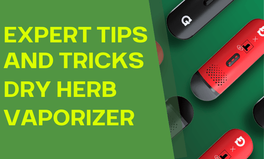 Expert Tips and Tricks for Dry Herb Vaporizers - HEMPER