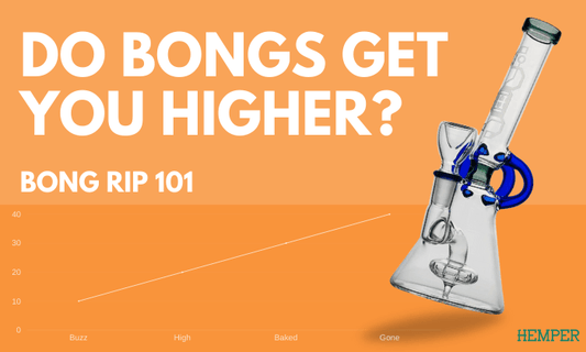 Bong Rips 101: Do Bongs Get You Higher? - HEMPER