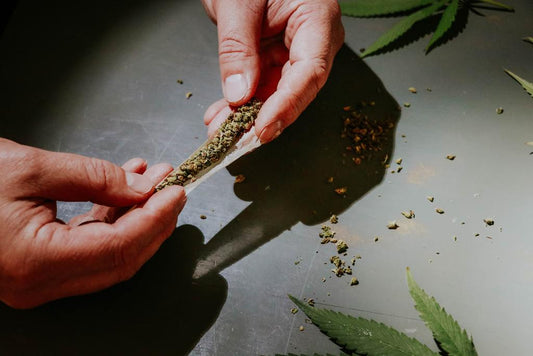 Why You Should Microdose - HEMPER