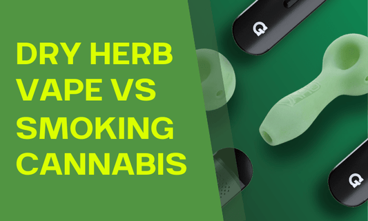 Dry Herb Vape vs Smoking: Entirely Different Experiences - HEMPER
