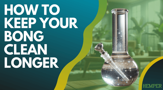 Stay Ahead of the Grime: Keeping Your Bong Clean - HEMPER
