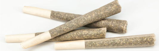 How to Use a Filter Tip To Roll Your Own Herb - HEMPER