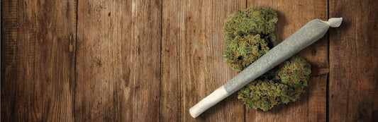 Types of Rolling Cones - HEMPER