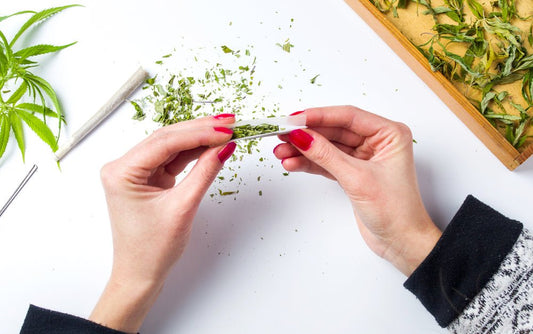 Non-Tobacco Wraps to Try This Year - HEMPER