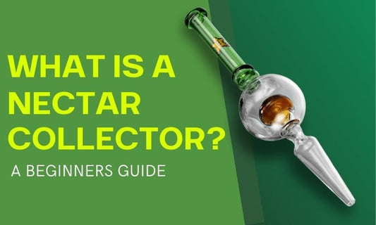 What is a Nectar Collector - HEMPER