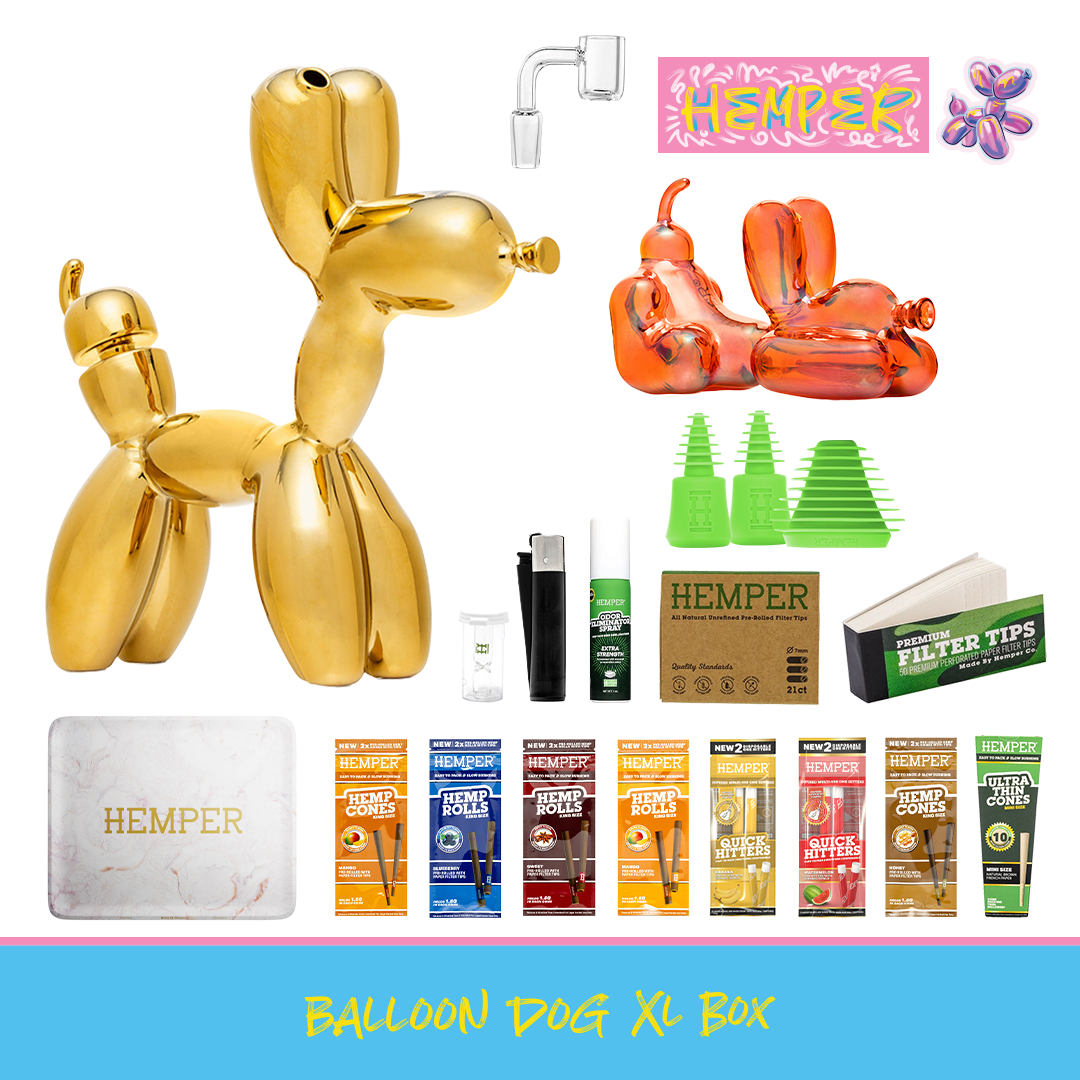 444 tobacco pass KPAX-TV Balloon Dog XL Bong Box