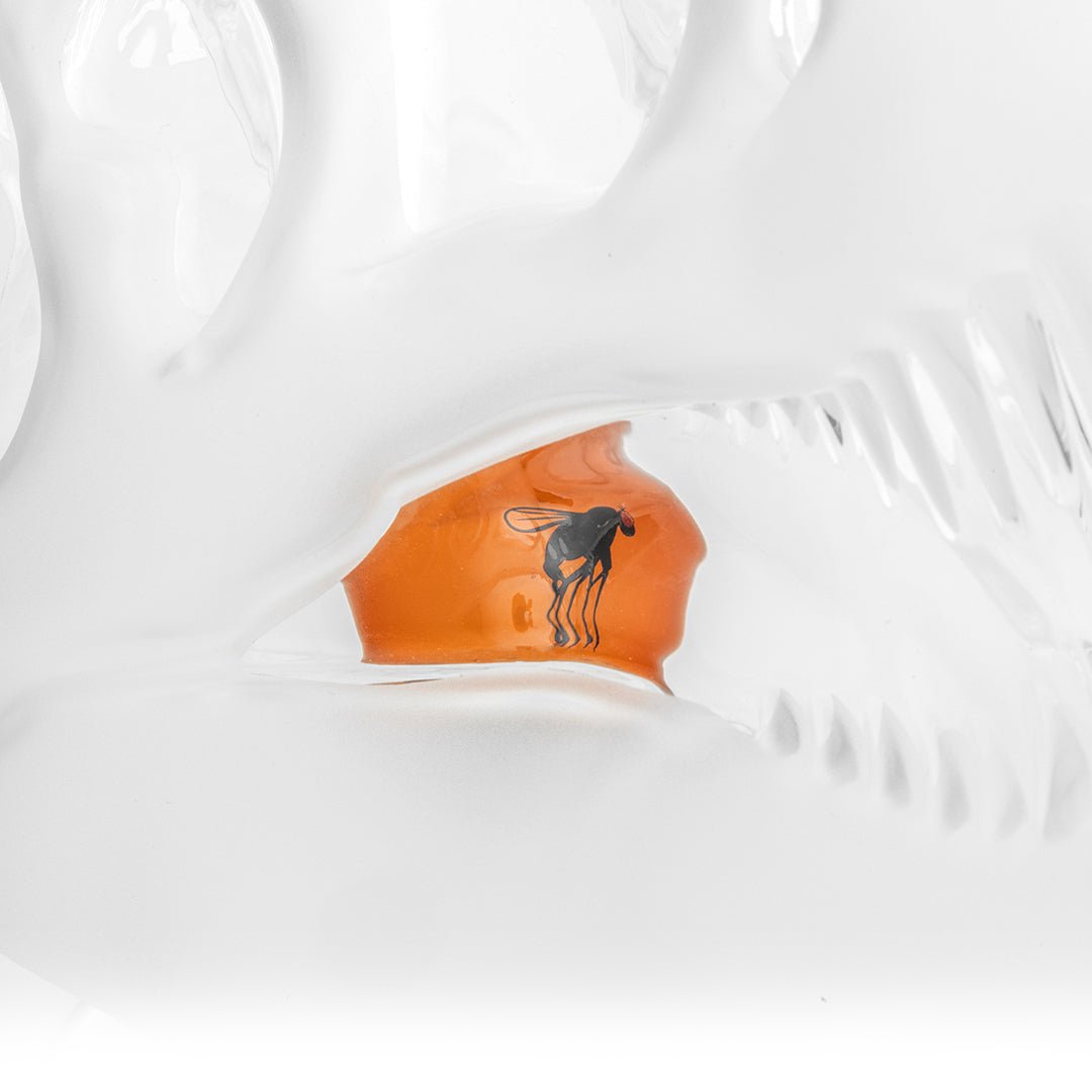Jurassic Spark Dinosaur Skull XL Bong - HEMPER -