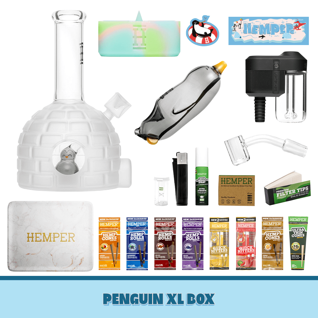 Penguin Igloo XL Bong Box – HEMPER