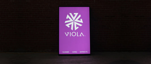 Al Harrington Wellness Launch Recap