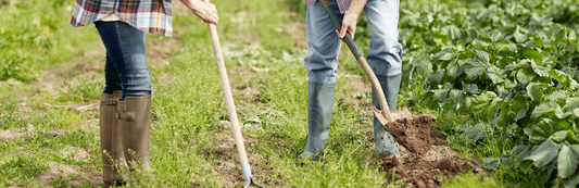 Why Hemp Legalization is a Boom for the U.S Economy