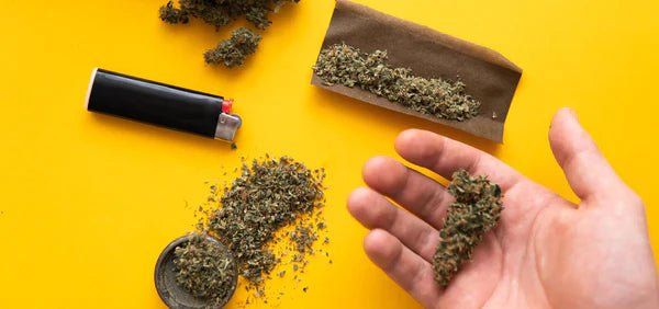 The Ultimate Guide to Selecting the Best Blunt Wraps - HEMPER
