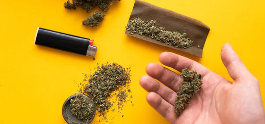 The Ultimate Guide to Selecting the Best Blunt Wraps