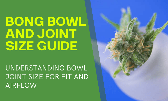 Bong Bowl and Joint Size Guide for Beginners - HEMPER