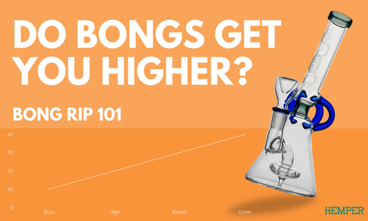bong rips 101