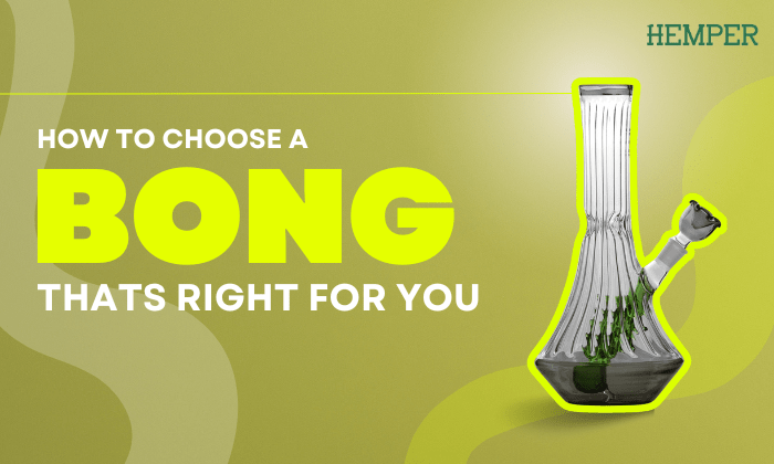 How to Choose a Bong That's Right For You 2024 - HEMPER