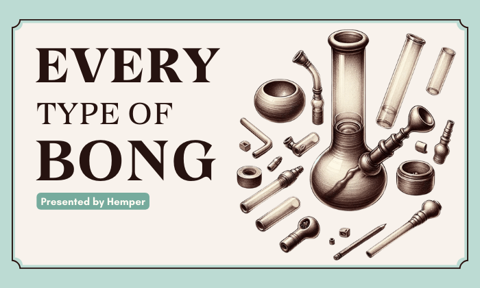 The Complete List of Every Type of Bong, Shape, and Material - HEMPER