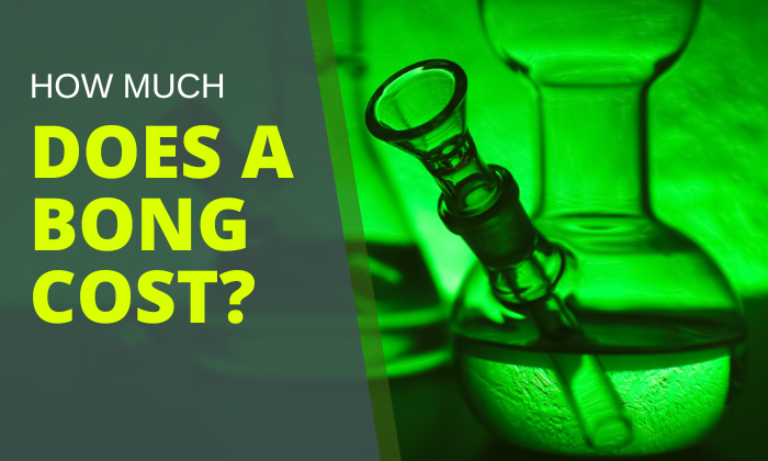 How Much Does a Bong Cost: The Complete Pricing Guide - HEMPER