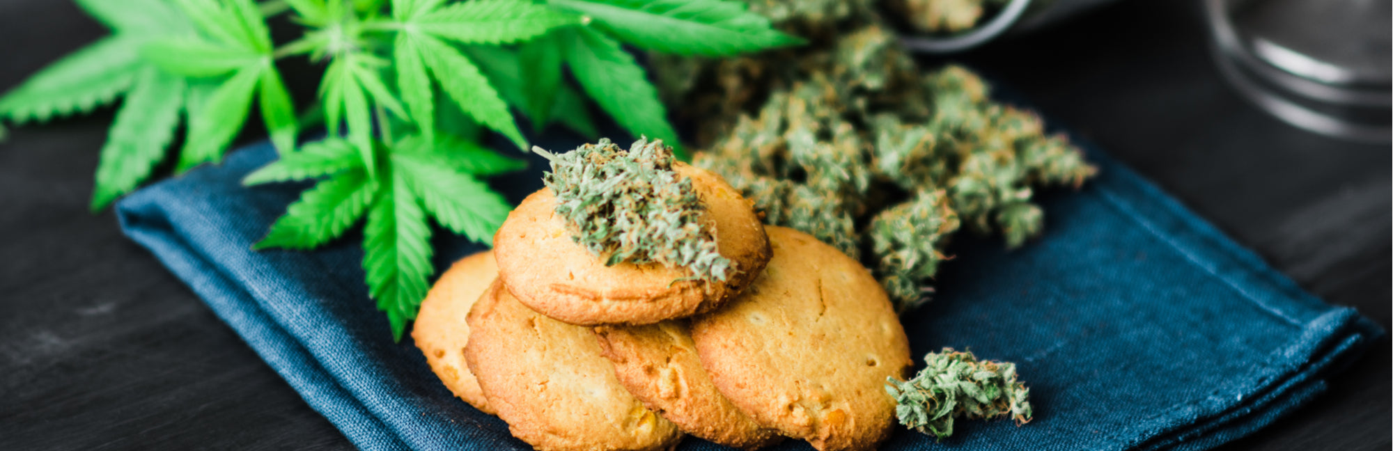 Consuming Edibles: A Beginners Guide