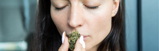 Get Rid of Weed Smell