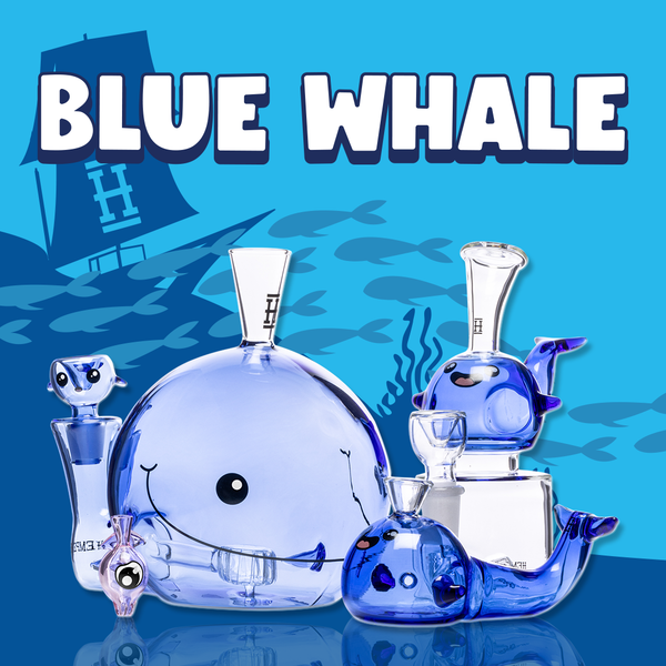 The Blue Whale Family - HEMPER