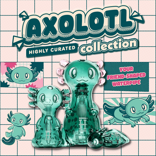 The Axolotl Family - HEMPER