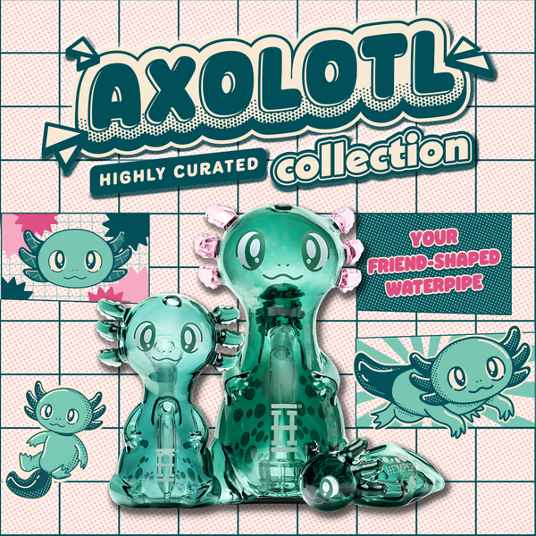 The Axolotl Family - HEMPER