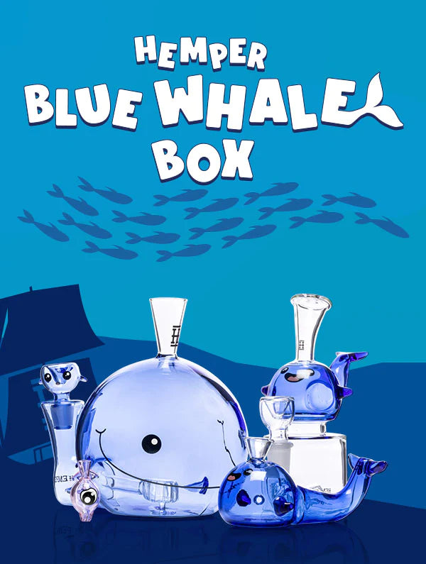 The Blue Whale Family