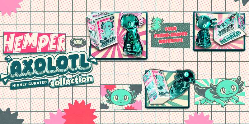 Axolotl Collection