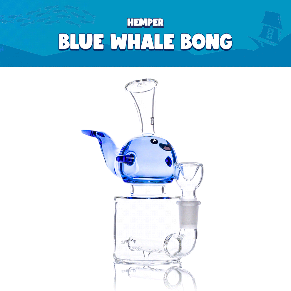 Blue Whale Bong Box - 2