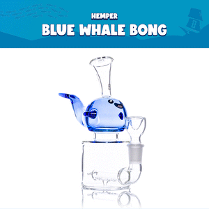 HEMPER - Blue Whale Bong Box