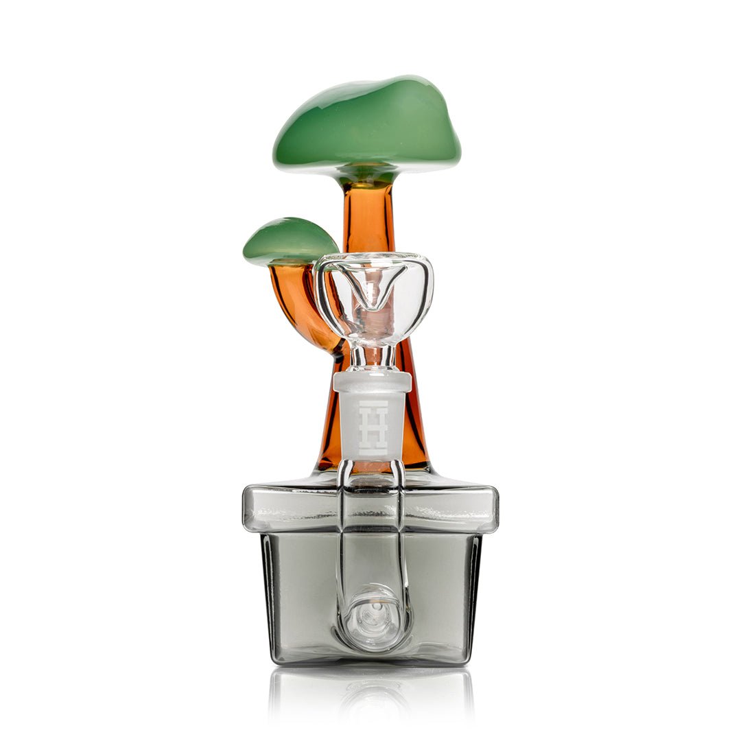 bonsai tree dab rig Zen Bonsai Tree Bong – HEMPER