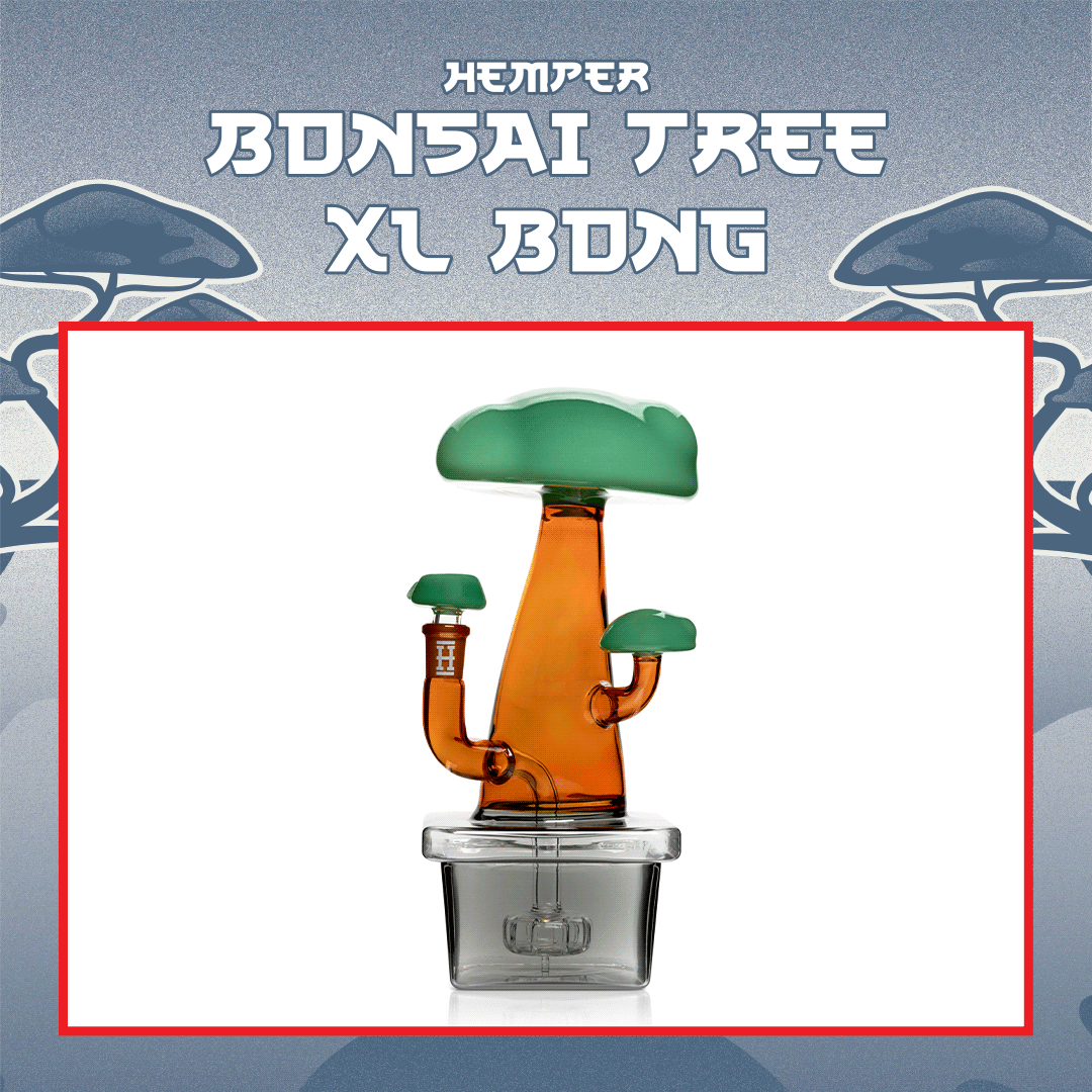 bonsai tree bong Zen Bonsai Tree XL Bong Box – HEMPER