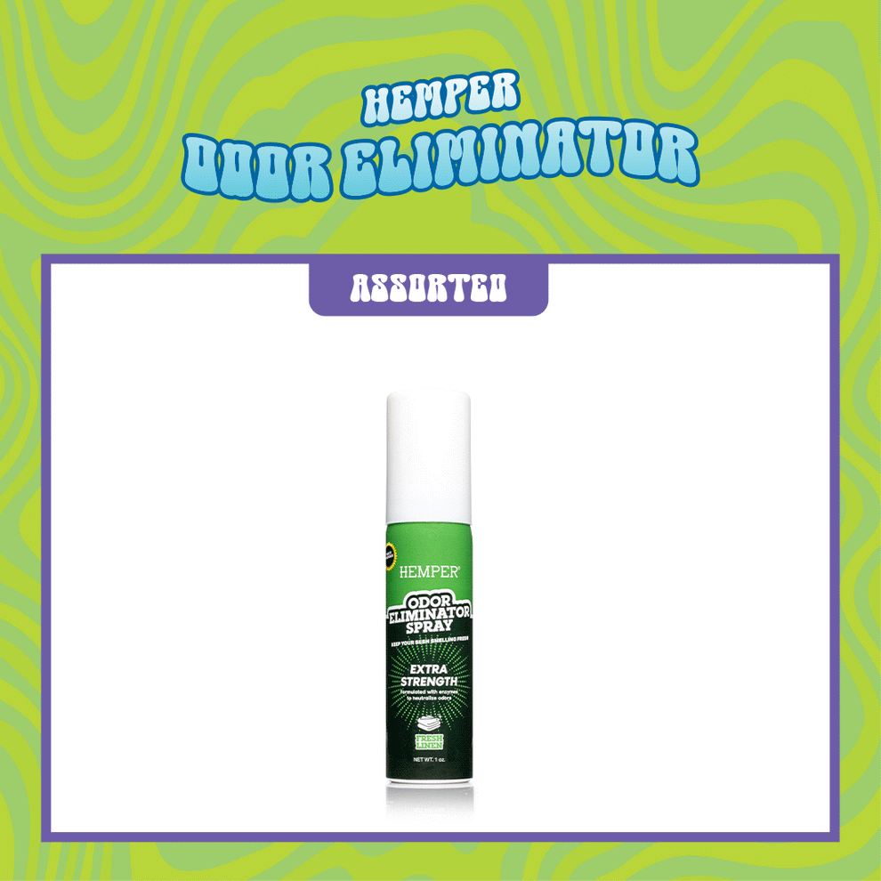 Groovy Van XL Bong Box - 4