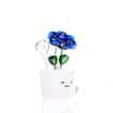 Bloom Bong - HEMPER