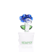 Bloom Bong - HEMPER