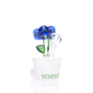 Bloom Bong - HEMPER