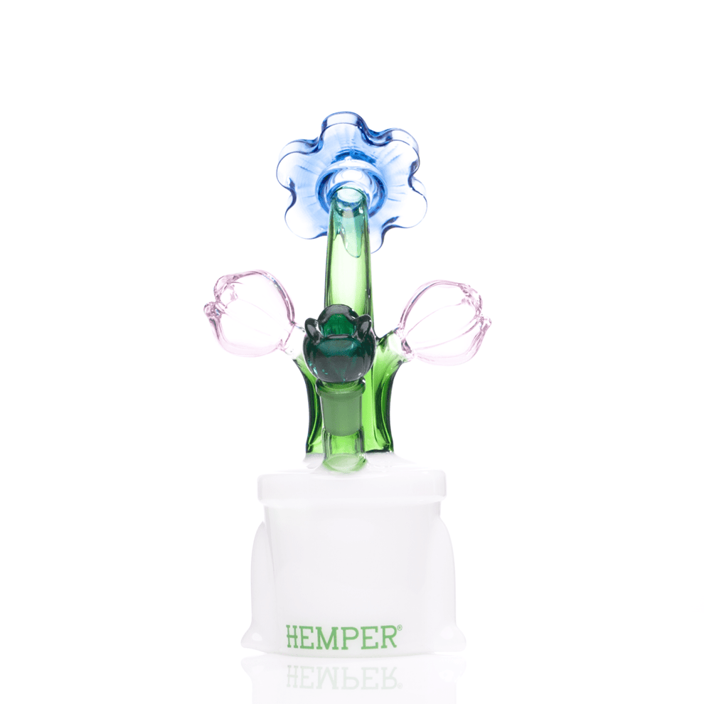Bloom XL Bong - HEMPER - 19