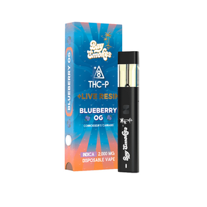 Bay Smokes - Blueberry OG THC-P + Live Resin 2G Disposable Vape