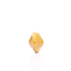 Chinese Takeout Fortune Cookie Hand Pipe - HEMPER
