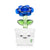 Bloom Bong - HEMPER