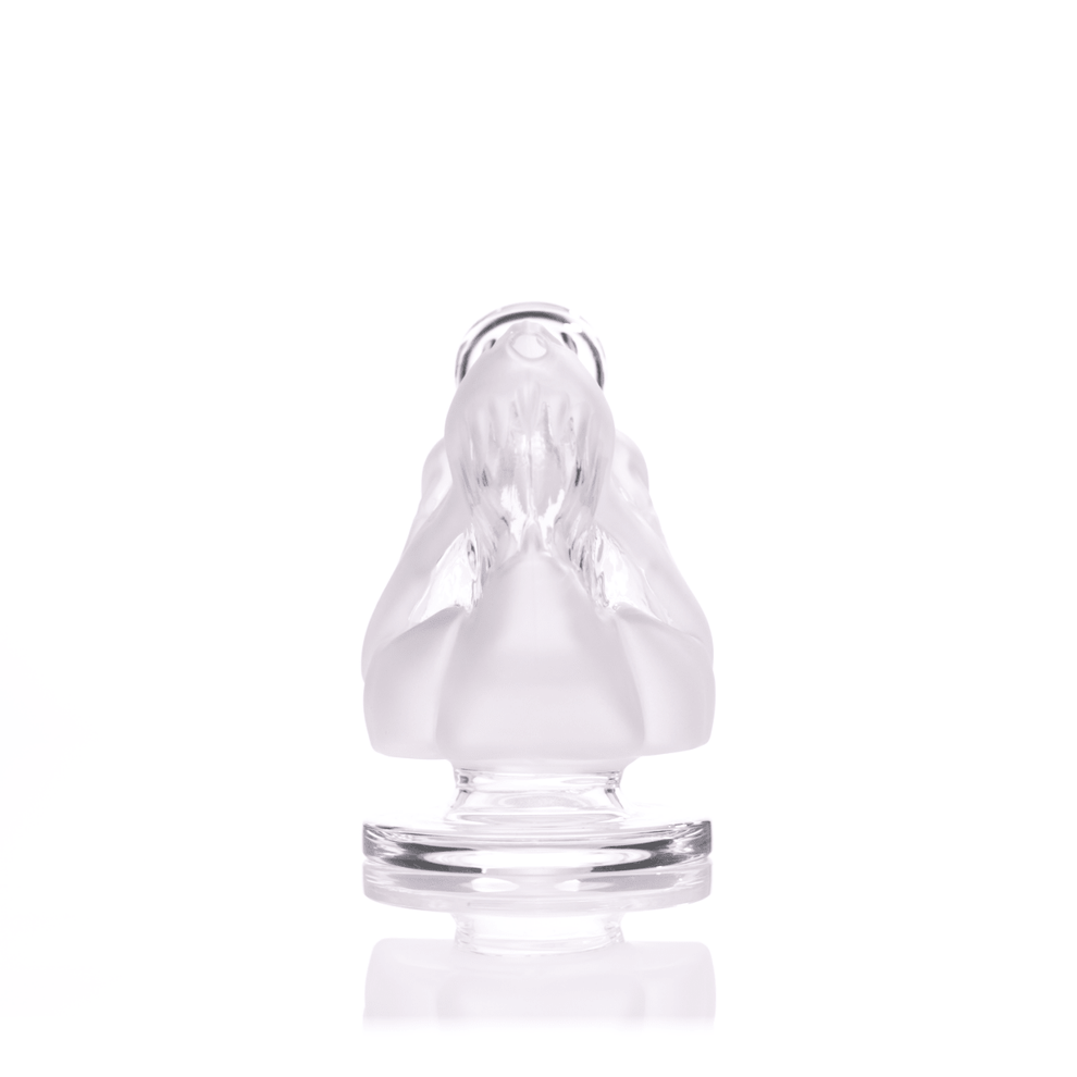 Jurassic Spark Dinosaur Skull Bong - HEMPER - 8