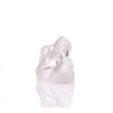 Jurassic Spark Skull Hand Pipe - HEMPER