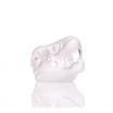 Jurassic Spark Skull Hand Pipe - HEMPER