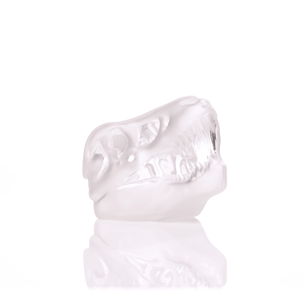 Jurassic Spark Skull Hand Pipe - HEMPER - 10