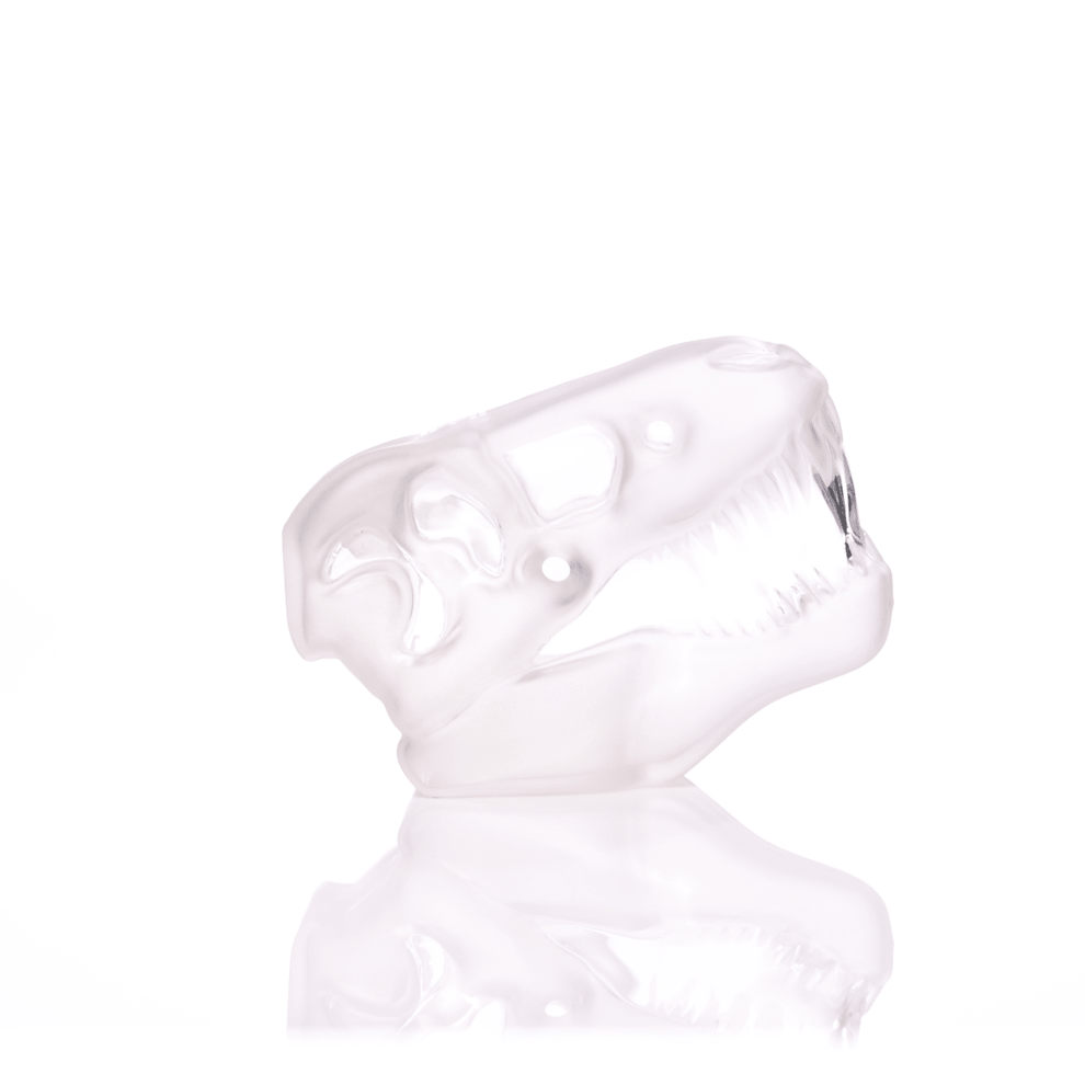 Jurassic Spark Skull Hand Pipe - HEMPER - 13