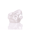 Jurassic Spark Skull Hand Pipe - HEMPER