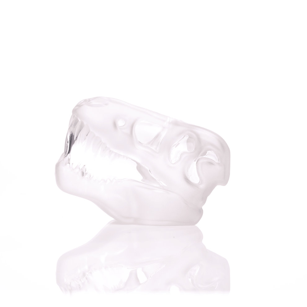 Jurassic Spark Skull Hand Pipe - HEMPER - 26