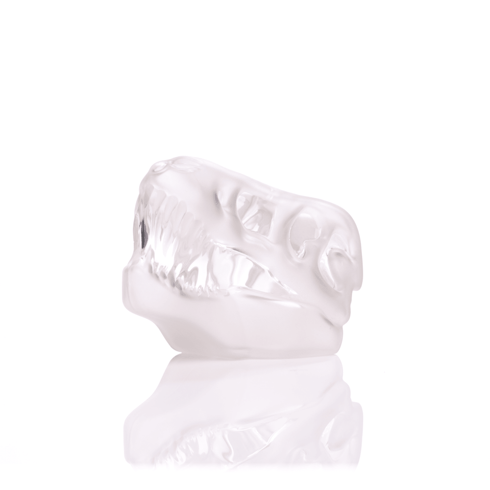 Jurassic Spark Skull Hand Pipe - HEMPER - 28